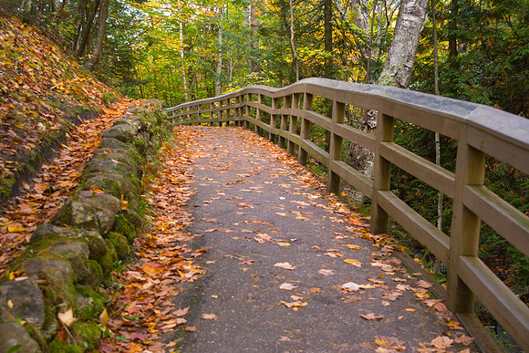 Bridge in the UP.jpg