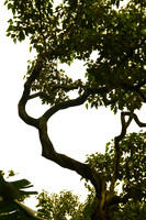 Grotto_1.jpg