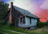 Scenics