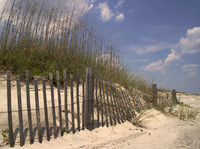 Tybee3.jpg